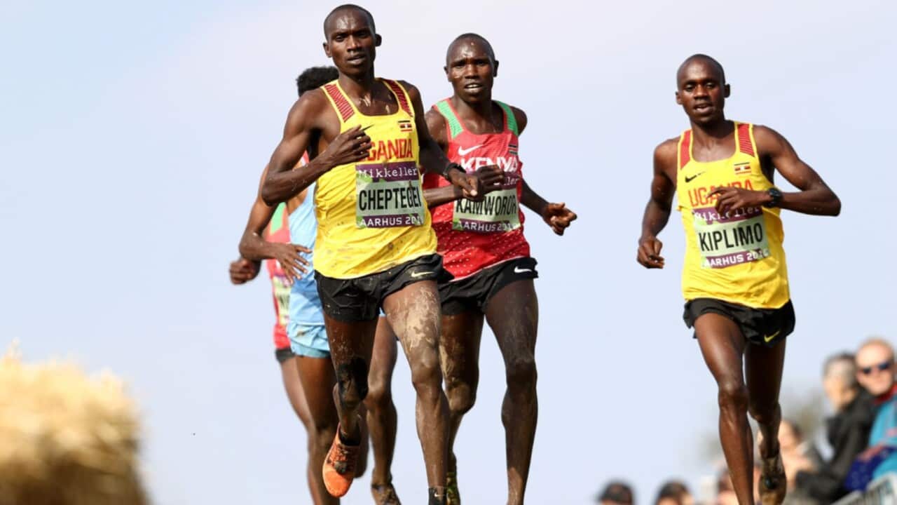 How to watch 2025 World Athletics Cross Country Championships on SBS