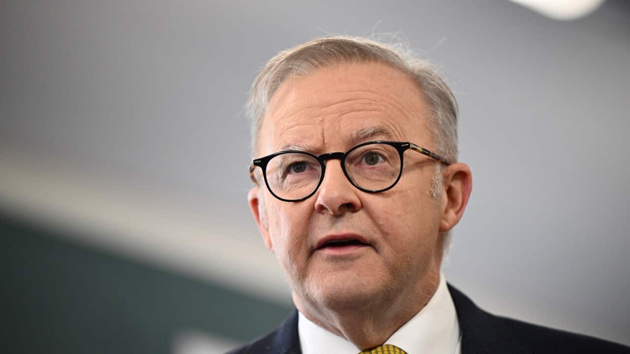 ANTHONY ALBANESE SYDNEY PRESSER