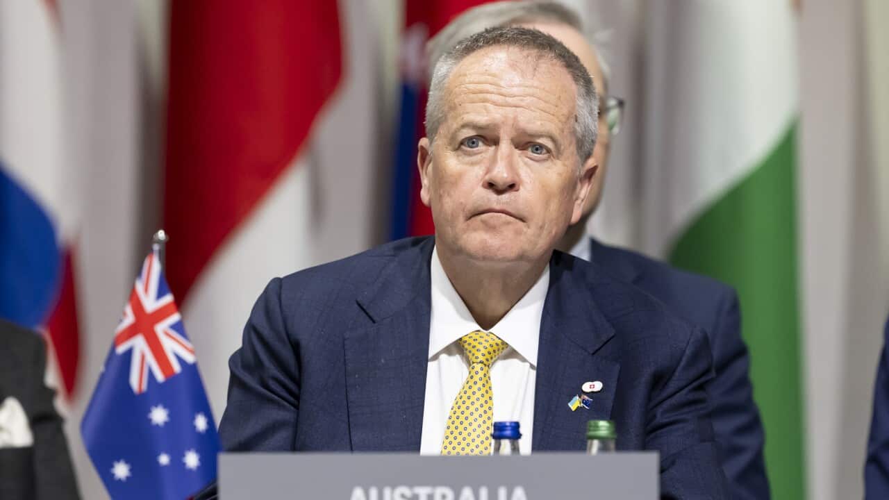 Federal Minister Bill Shorten at the Summit on Peace in Ukraine.