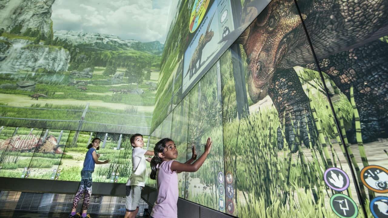 dino zoo queensland university cube