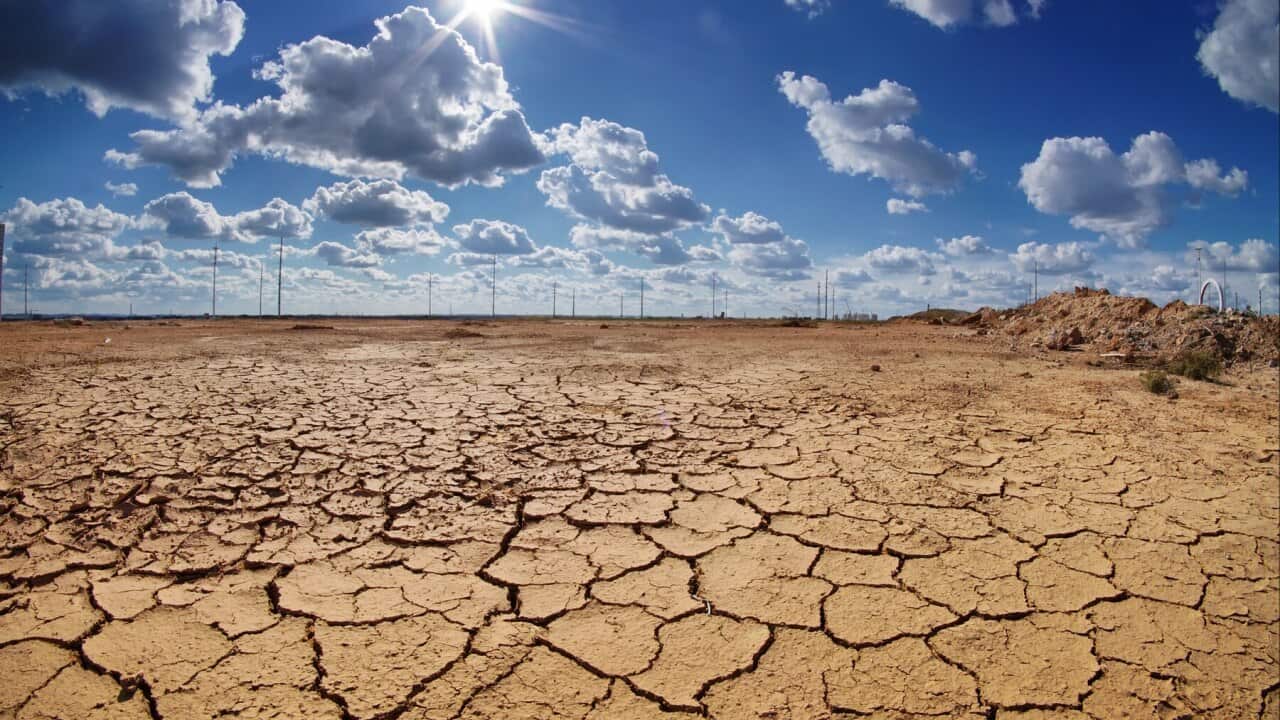 Drought stricken land
