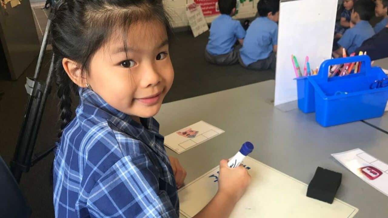 The literacy achievement of students who speak languages other than English is a success story.
