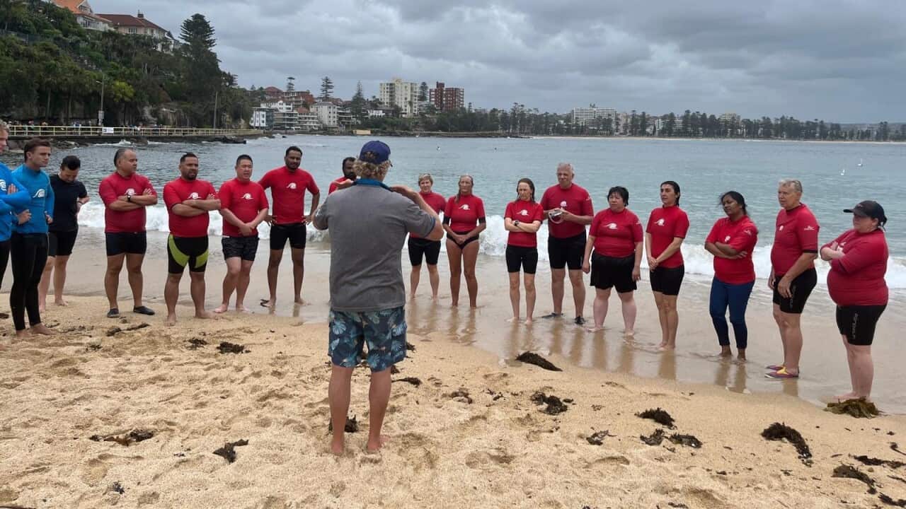 241220 Surf safety 1.jpg