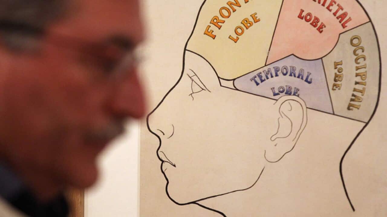 Brain_study_b_120411_getty_739609056