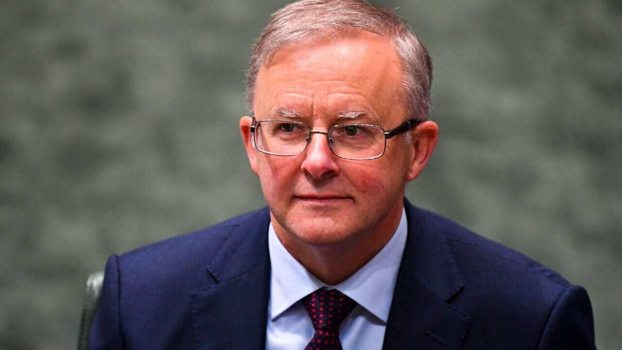 Opposition Leader Anthony Albanese.
