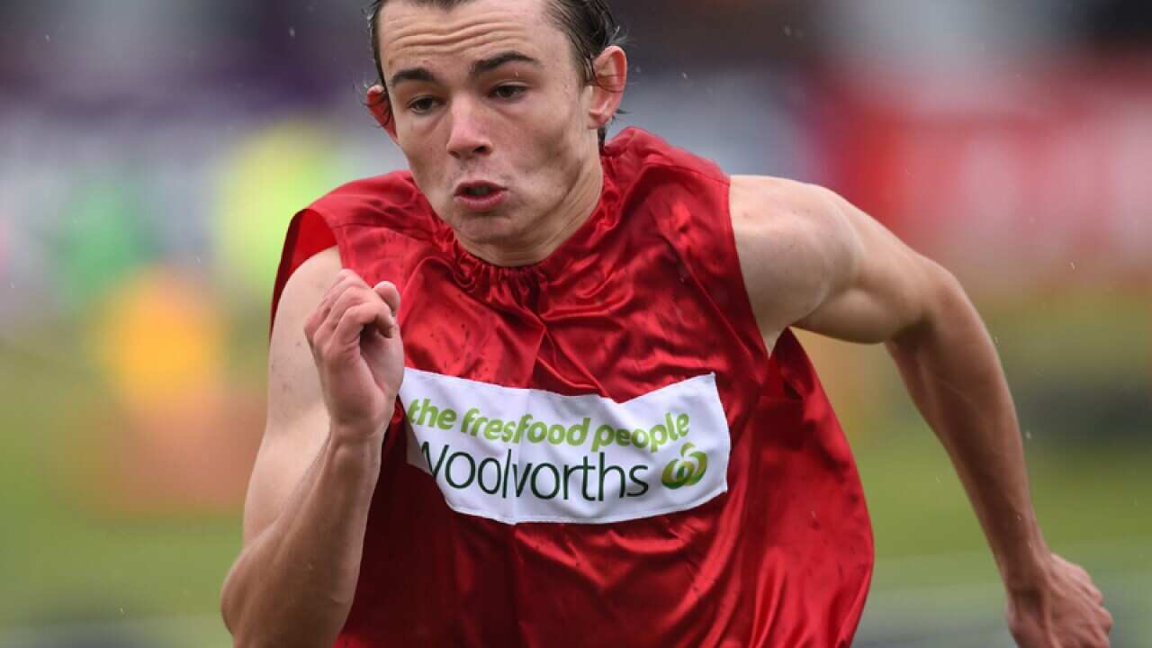 Jack Hale during the Stawell Gift