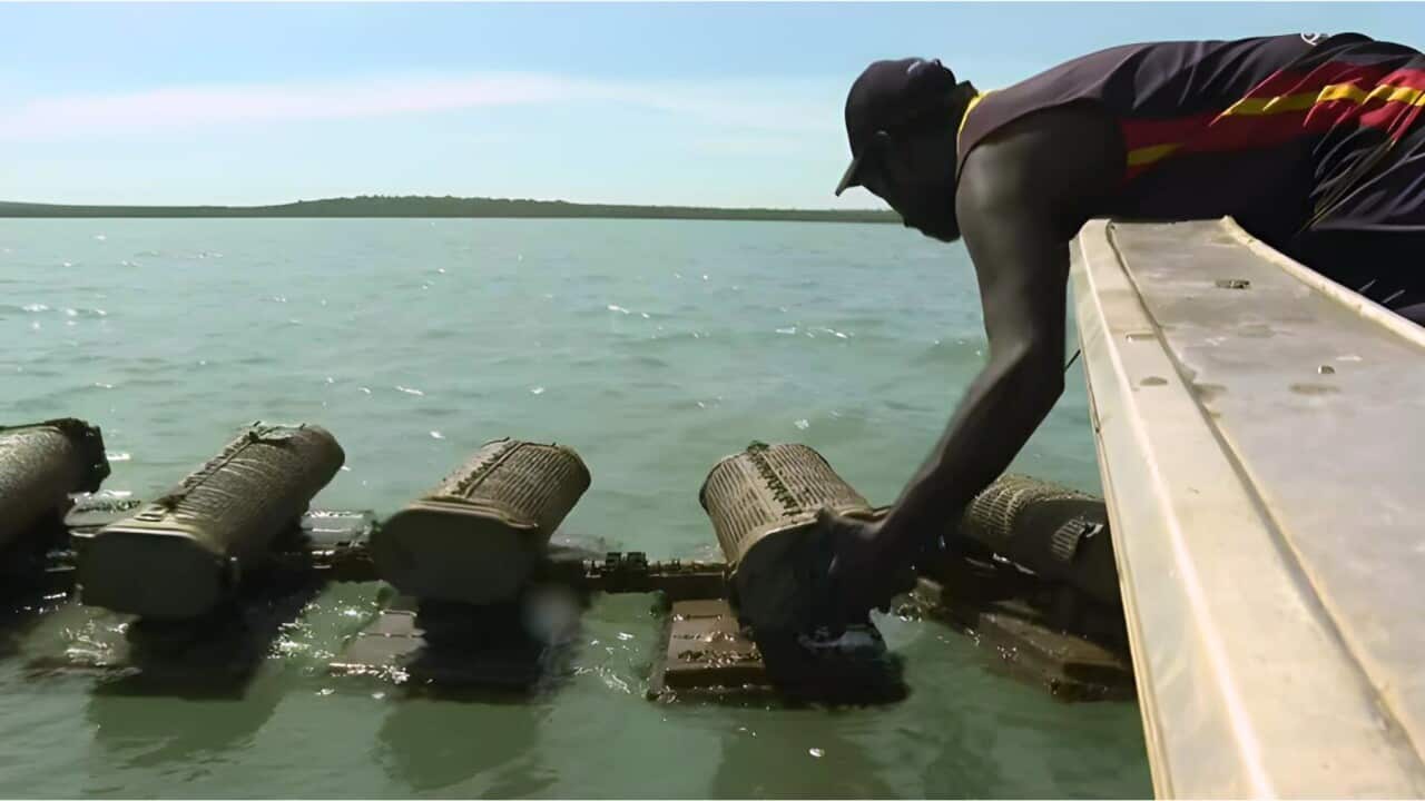Placing the cages back in the sea (SBS).jpg