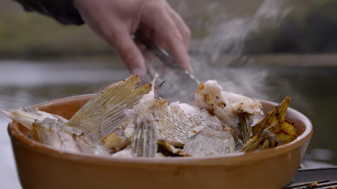 Grilled stripey trumpeter wings