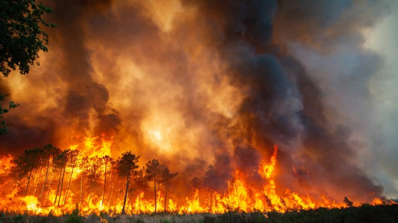 Des incendies de forêt se sont allumés en France, au Portugal, en Espagne et en Grèce au milieu de la canicule