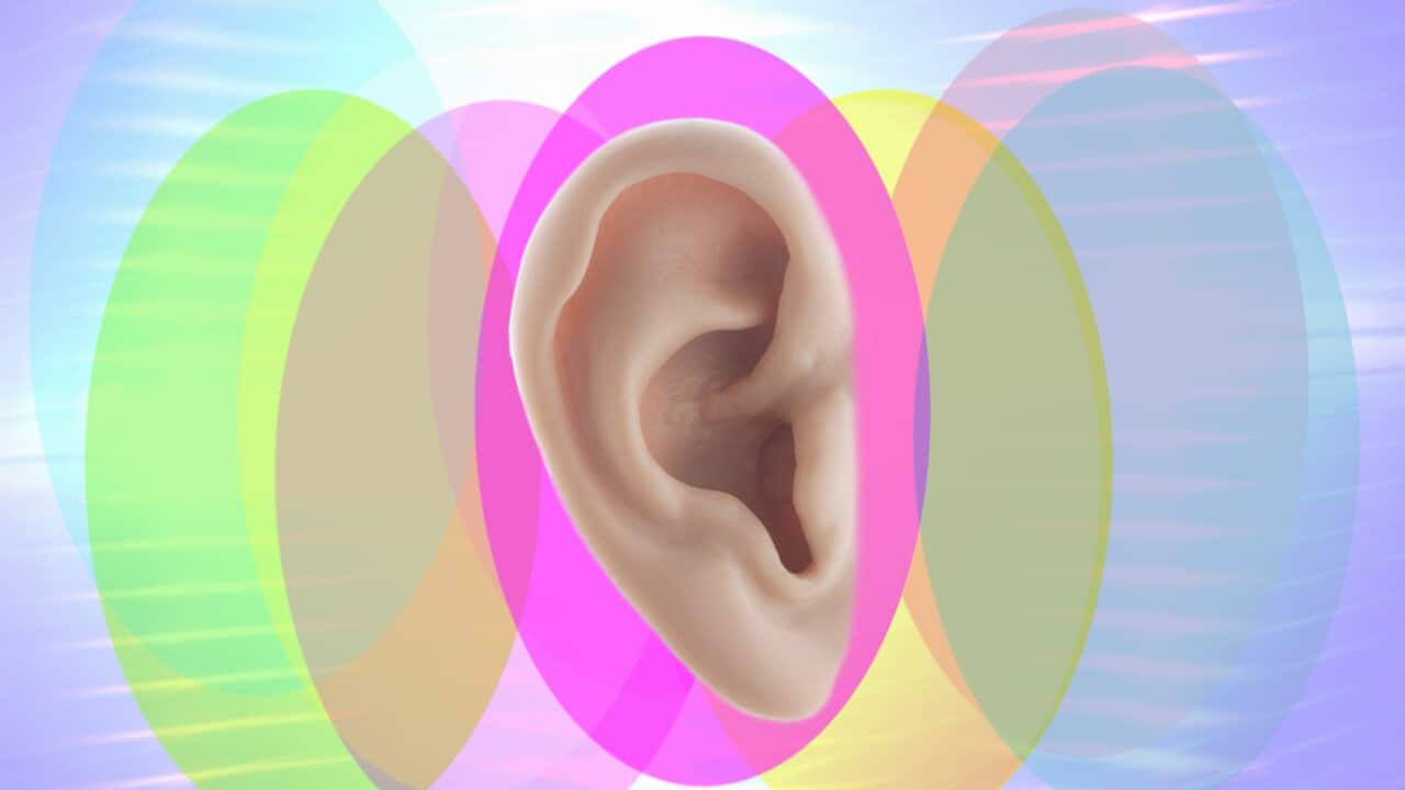 Human ear - Abstract