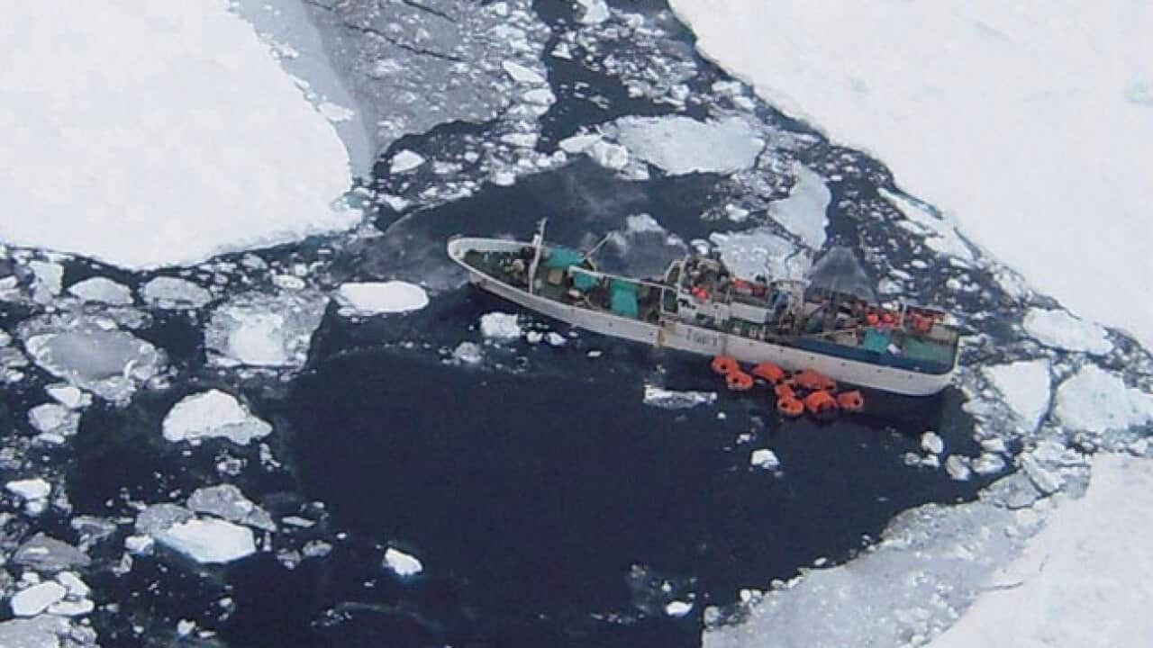 russia_strickensparta_111218_B_aap_668199041