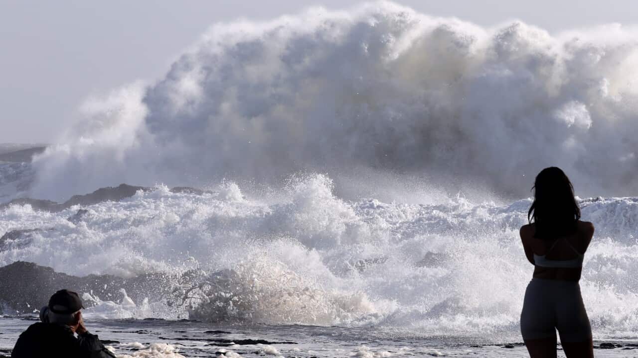TROPICAL CYCLONE ALFRED