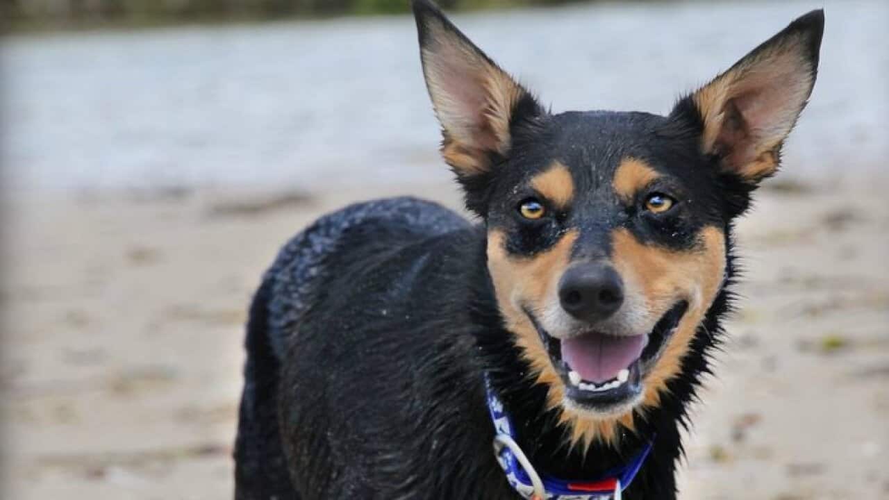 Image for read more article ''