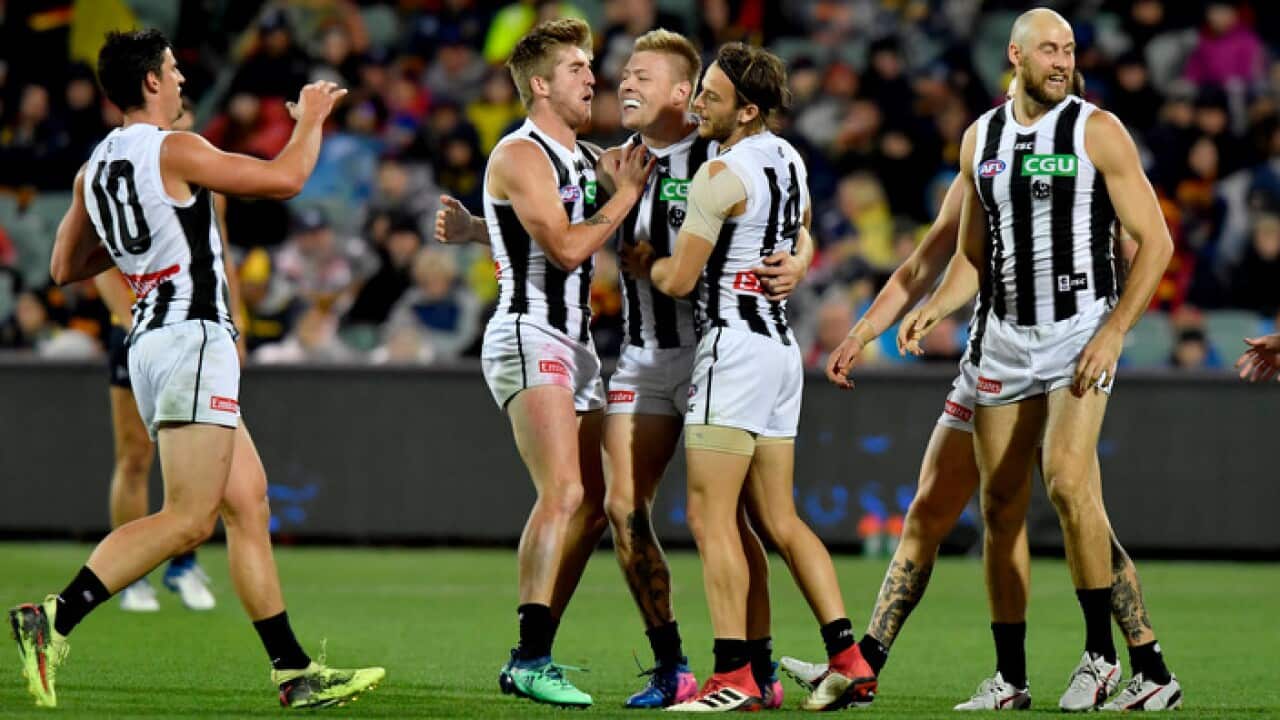Collingwood celebrate their win against Adelaide