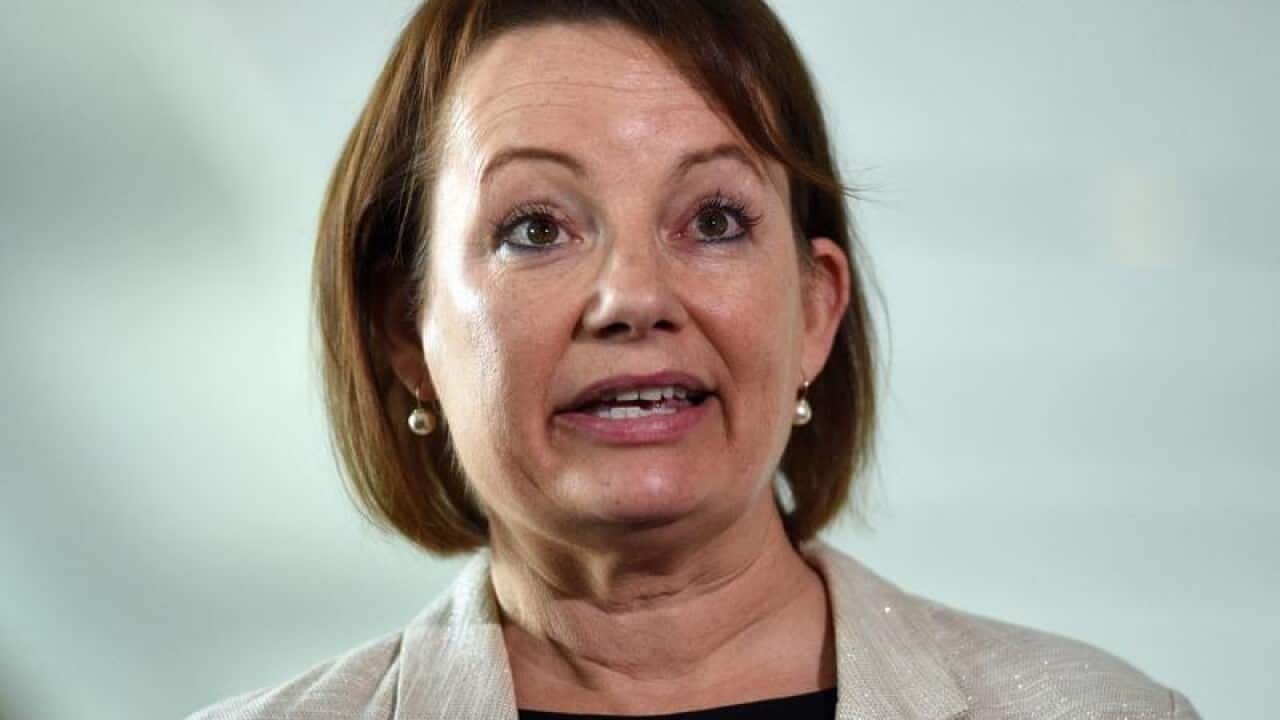 Federal MP Sussan Ley at a press conference.