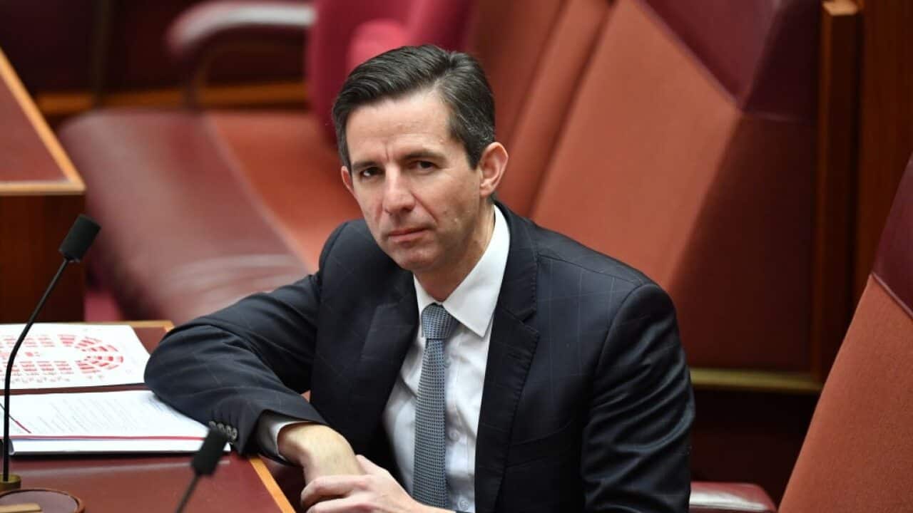 Image for read more article 'READ MORE'