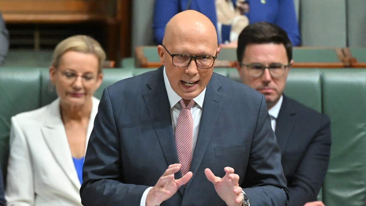 Image for read more article 'READ MORE'