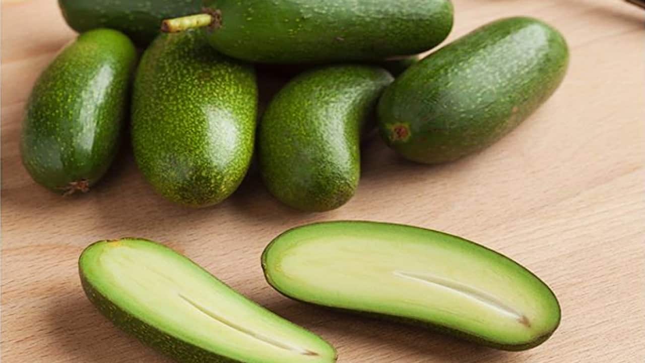 Marks and Spencer have started selling stoneless cocktail avocados with edible skin.