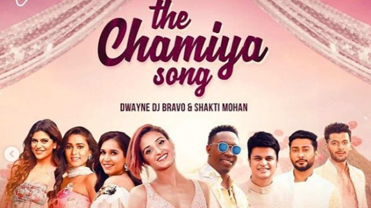 Bollywood News