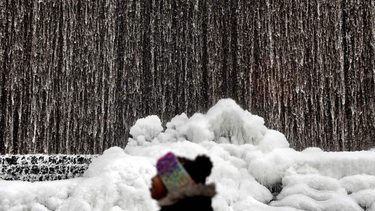 Freezing weather has hit the normally balmy Florida and Georgia.