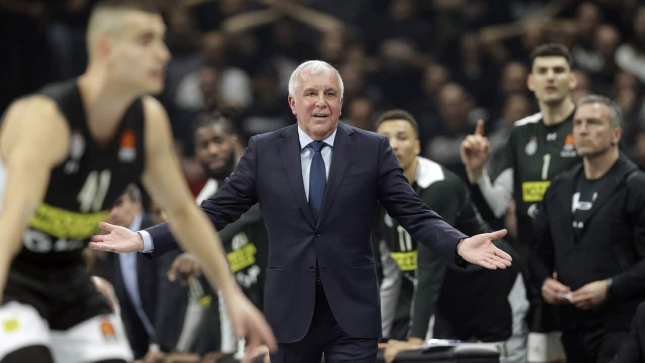Partizan's head coach Zeljko Obradovic reacts during the Euroleague basketball match between Partizan Belgrade and Alba Berlin