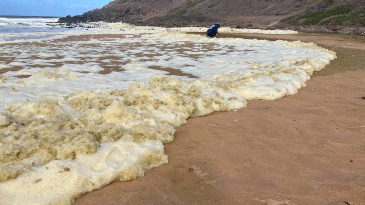 Copy of Newsletter big (2).png