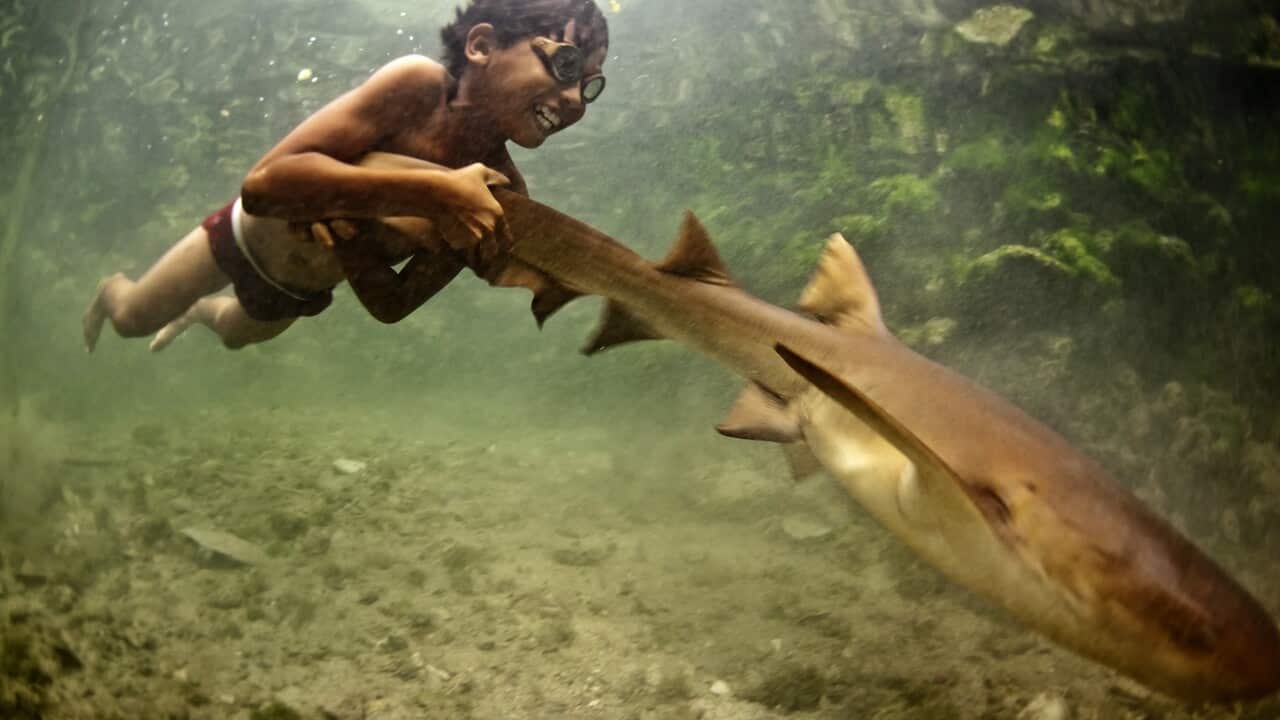 Whilst few young children are now born on boats, the ocean is still very much their playground. And whilst they are getting conflicted messages from their communities, who simultaneously refrain from spitting in the ocean and continue to dynamite its