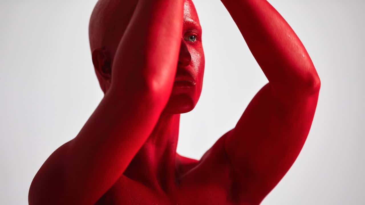 Image for read more article ''