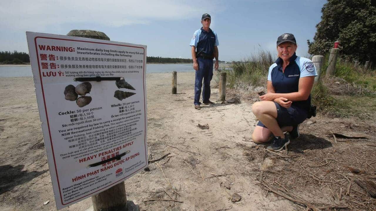 Fisheries officers Gavin McDonall and Emma Corfield are cracking down on people who collect more than 50 cockles each at Lake Illawarra.