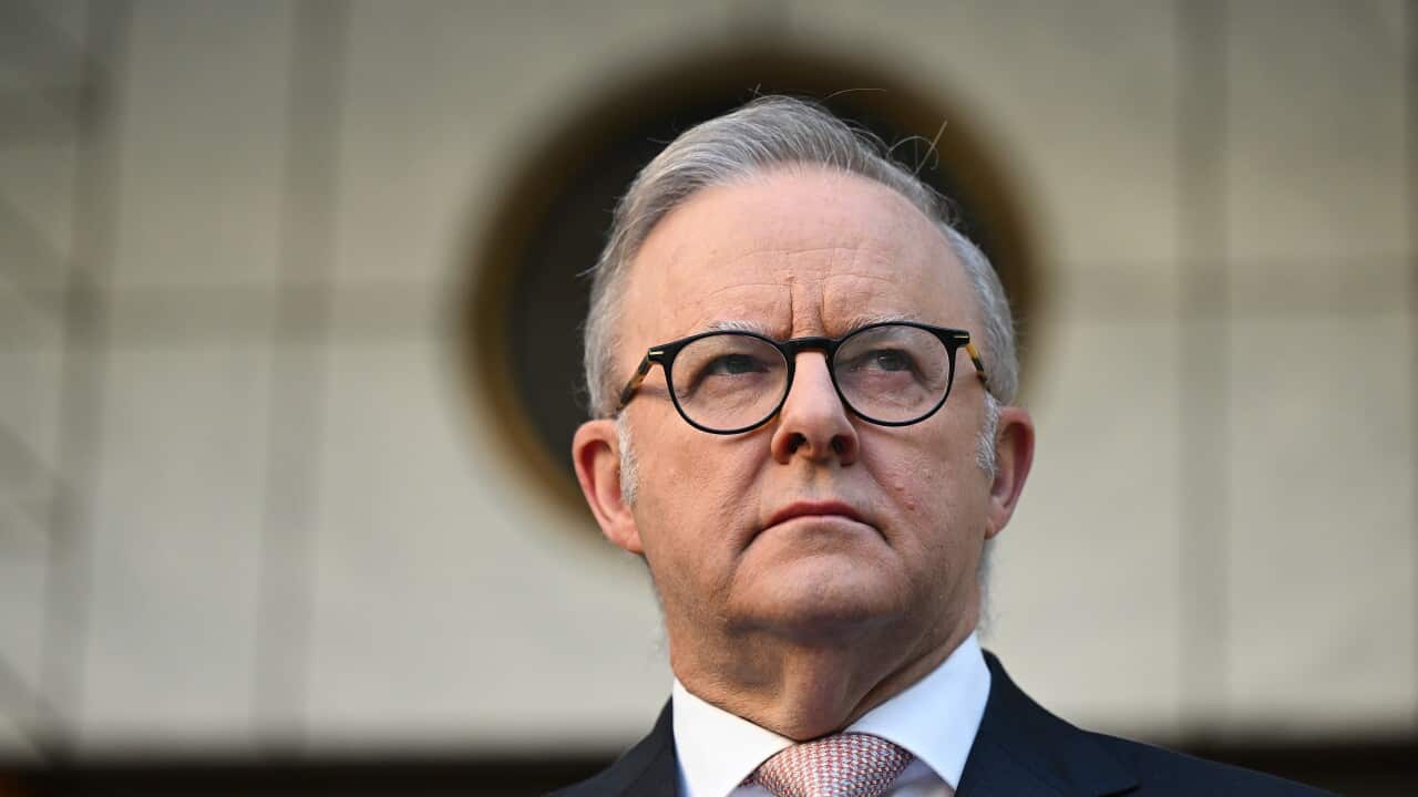 ANTHONY ALBANESE PRESSER