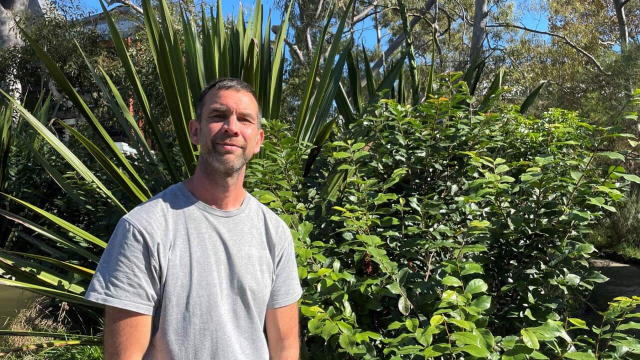 Roman Deguchi at a wildflower garden in Sydney (SBS-Sandra Fulloon).jpg