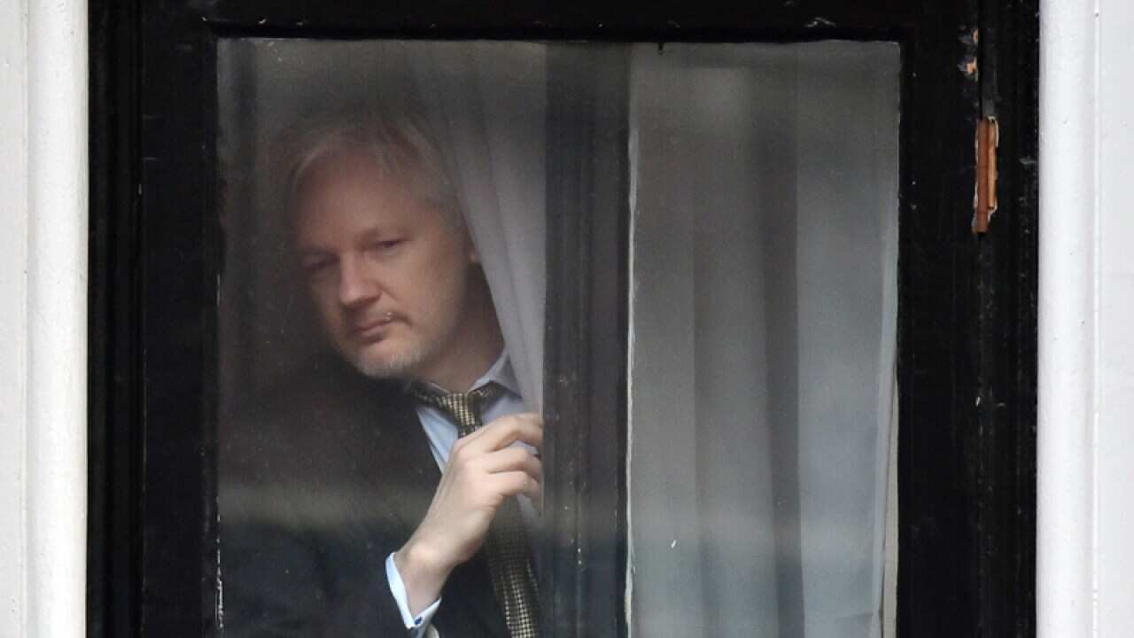 WikiLeaks founder Julian Assange