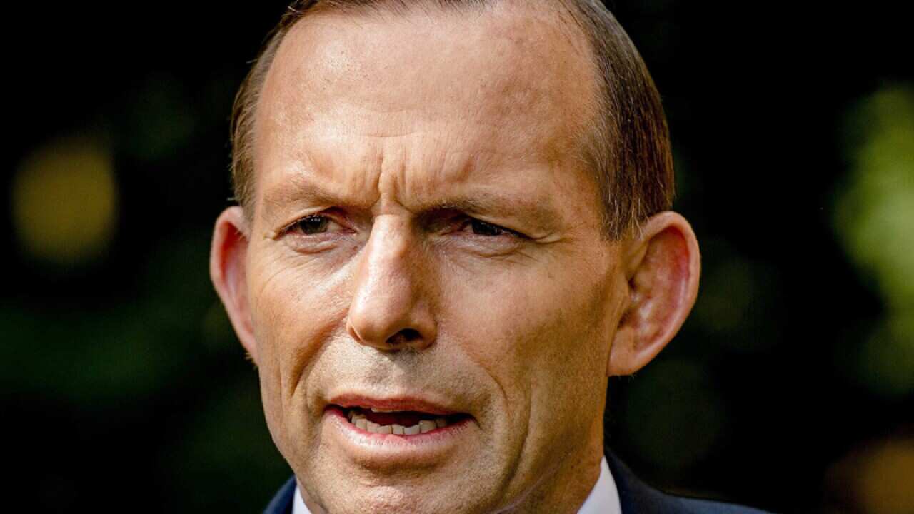 Tony Abbott speaks during a trip to the Netherlands