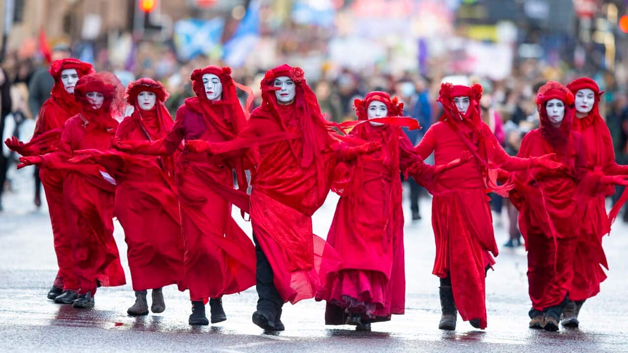 Editorial collection ahead of UN Climate Change Conference COP30