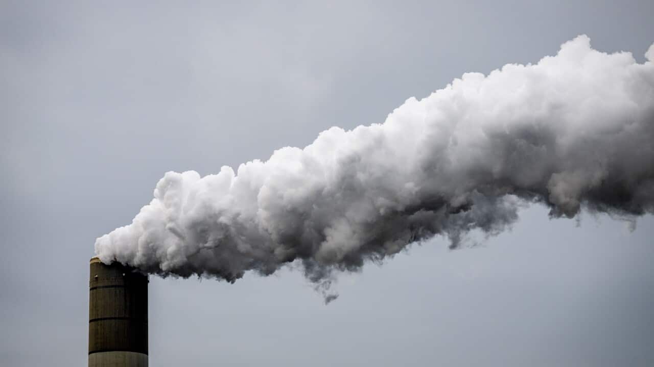 Emissions are still rising, year on year (AAP)