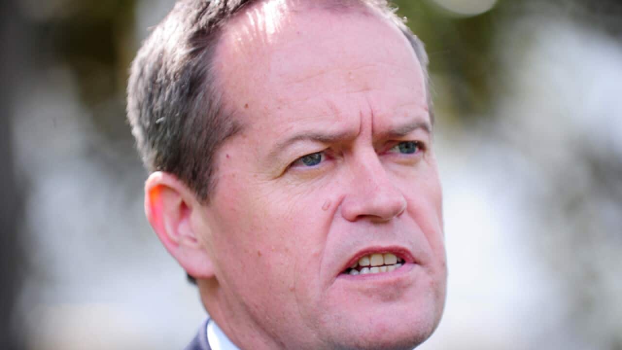 Opposition Leader Bill Shorten