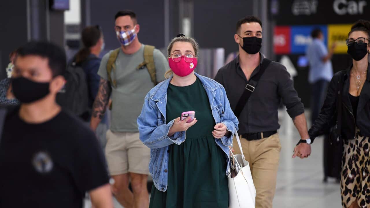MELBOURNE AIRPORT BRISBANE ARRIVALS