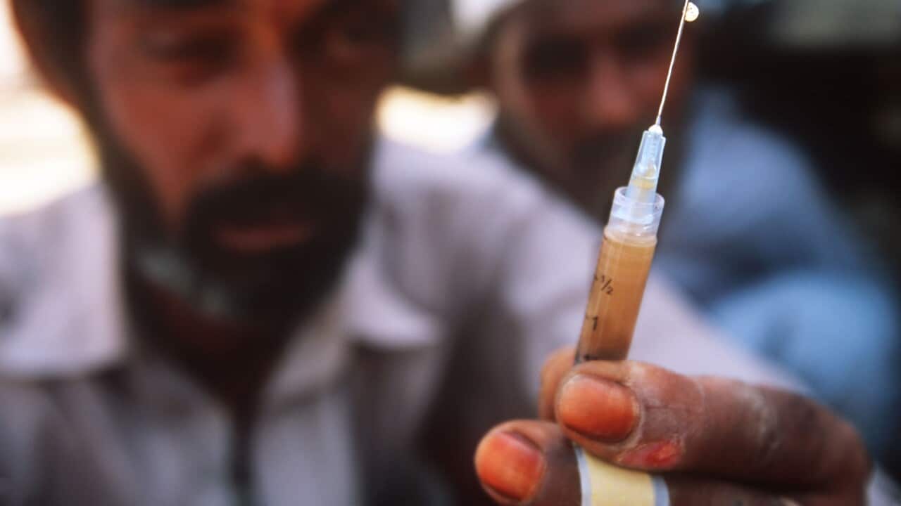 Punjab government death penalty for drug smugglers SBS Punjabi