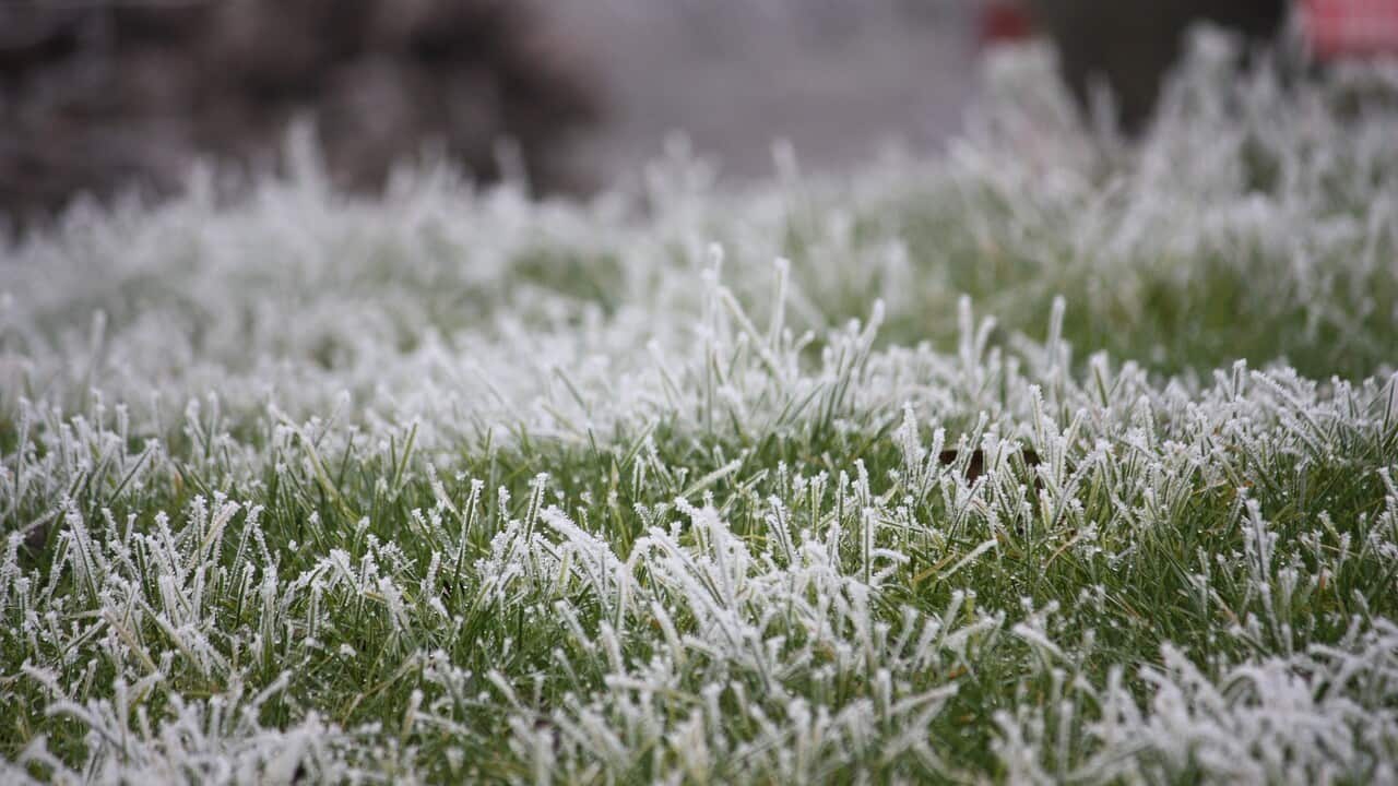 Frosted prairie - Pixabay