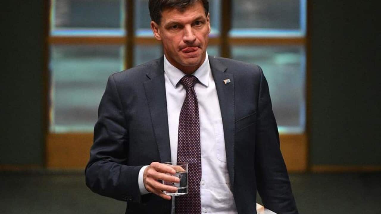Minister for Energy Angus Taylor during Question Time.