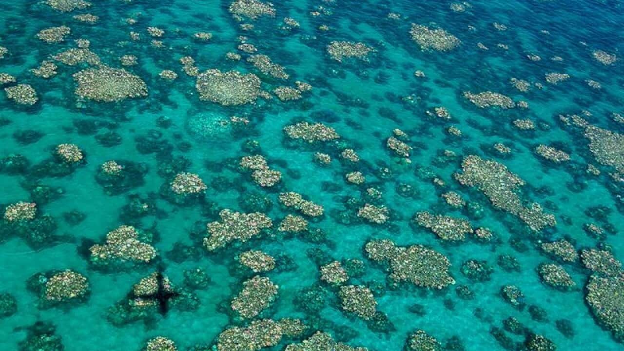 Great Barrier Reef