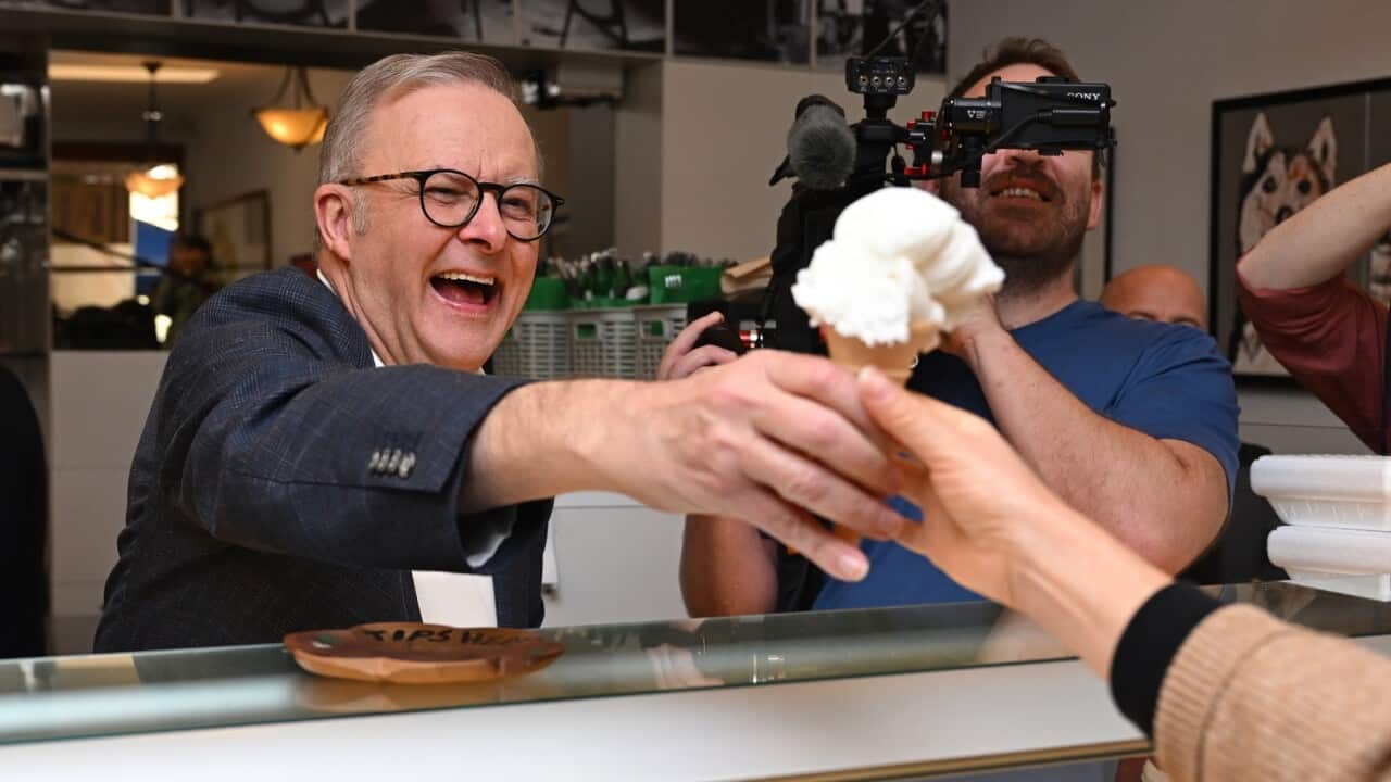 ANTHONY ALBANESE ELECTION REACTION