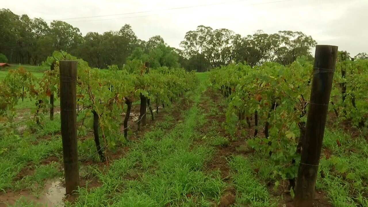 China bans Australian goods