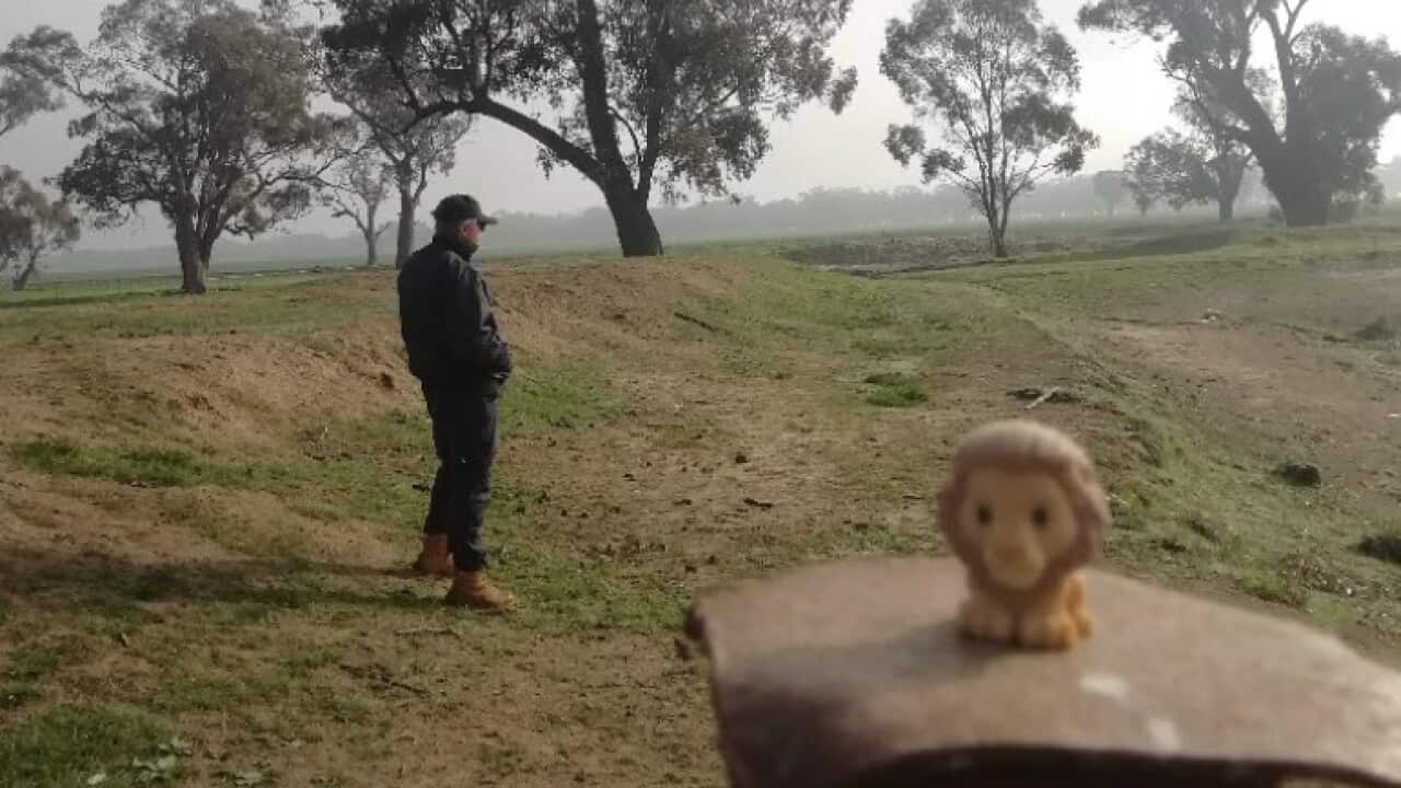 drought Ooshie