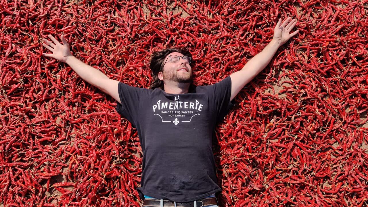 India IMG_20200212_142136 Credit Suyash Shrirastava.jpg