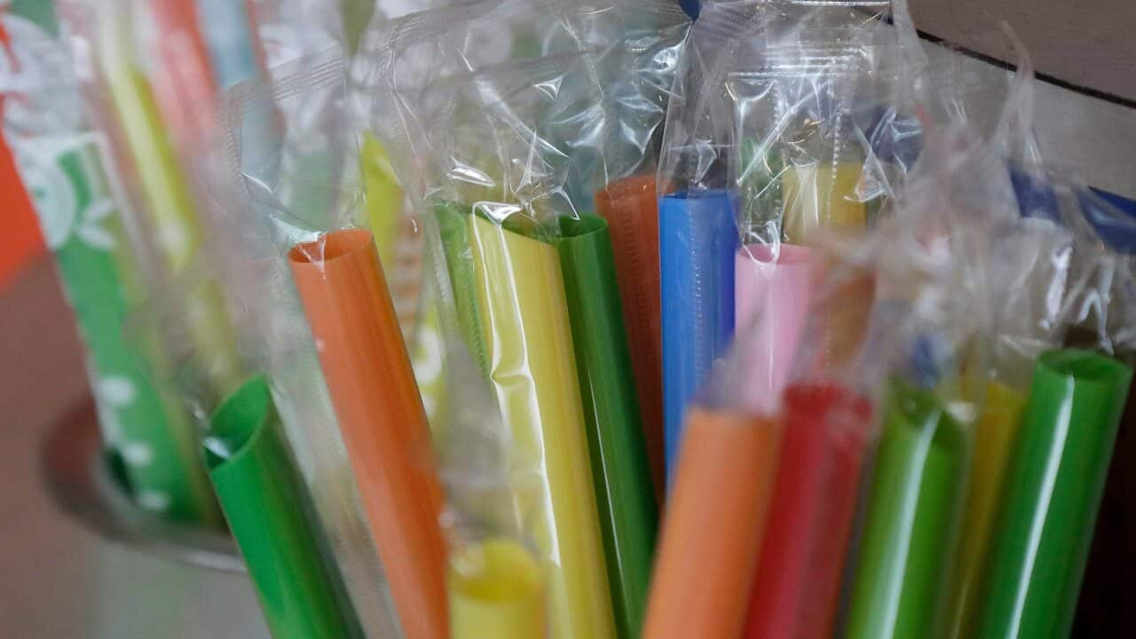 Single-use plastic straws are on the way out in South Australia.