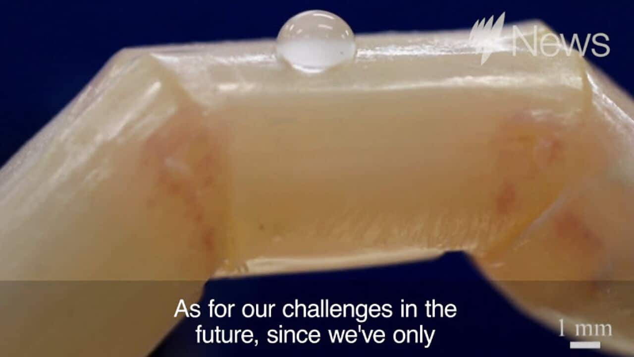 Robotic finger has ‘living human skin’