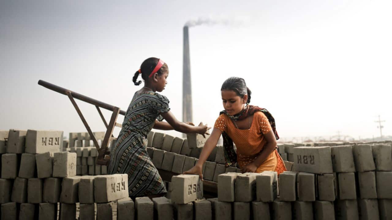 Symbol of Slavery and Nature's Destruction