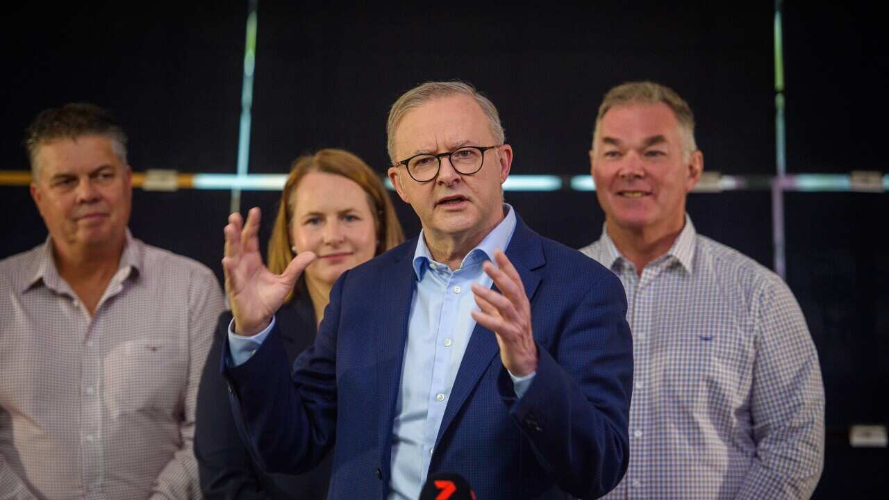 ANTHONY ALBANESE TOWNSVILLE VISIT