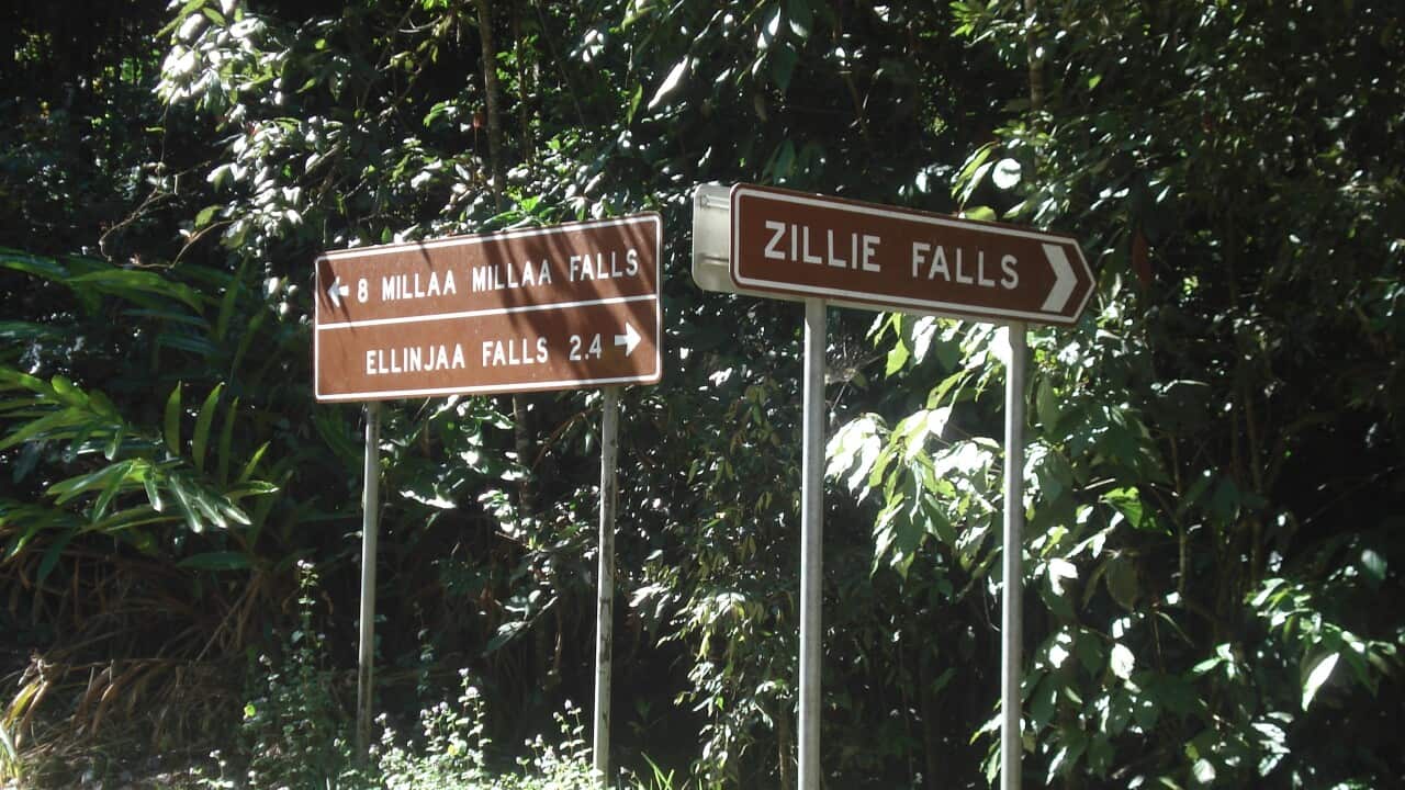 Millaa Millaa Falls